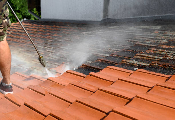 Best Commercial Building Pressure Washing  in Cambridge City, IN