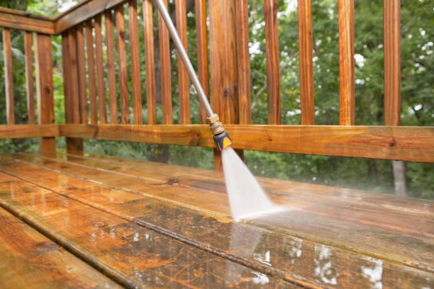 Best Roof Power Washing Services  in Cambridge City, IN
